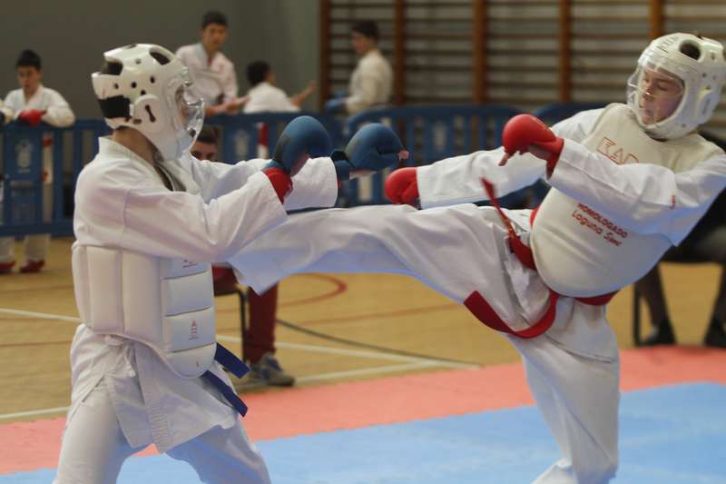 Curso para T&eacute;cnicos de K&aacute;rate Nivel-1 en Pamplona